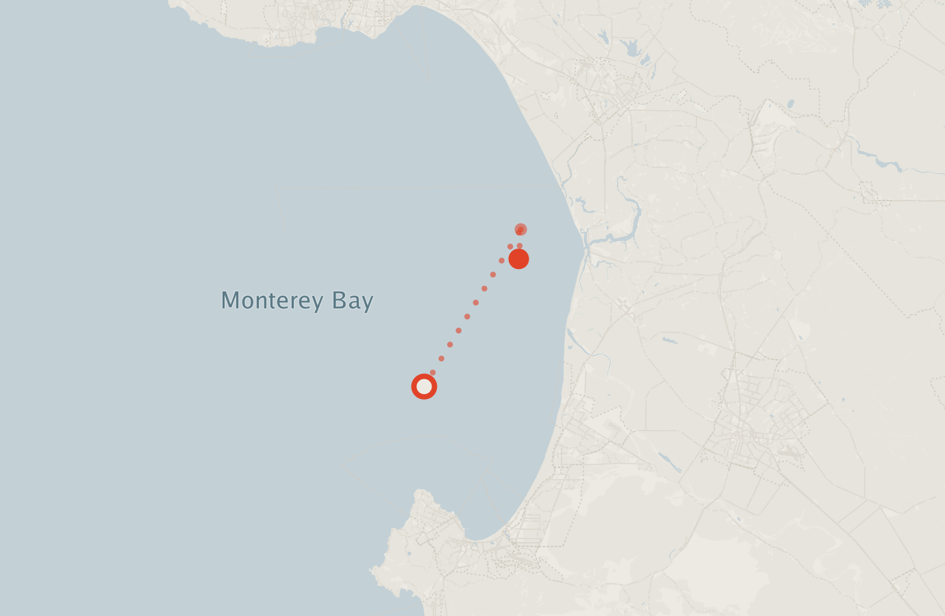Activity map — real sighting points on an OpenStreetMap basemap