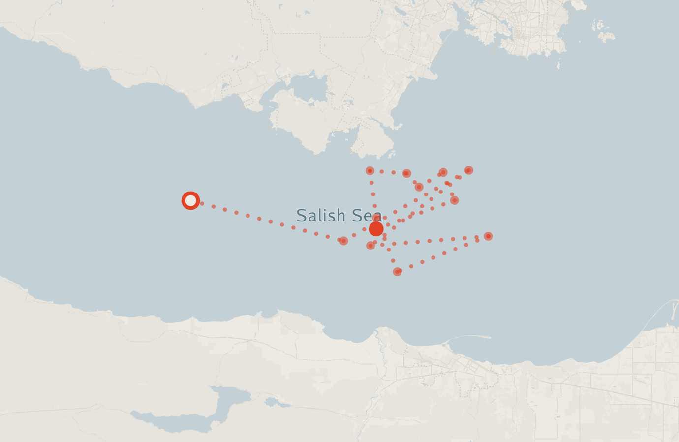Activity map — real sighting points on an OpenStreetMap basemap