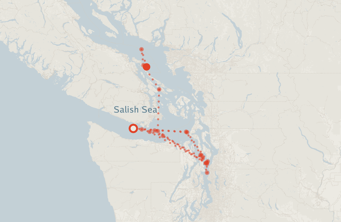 Activity map — real sighting points on an OpenStreetMap basemap