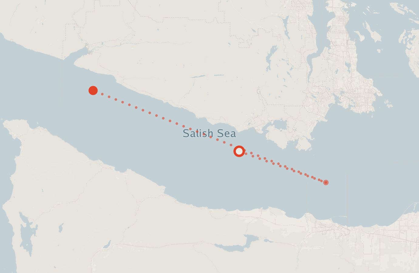 Activity map — real sighting points on an OpenStreetMap basemap
