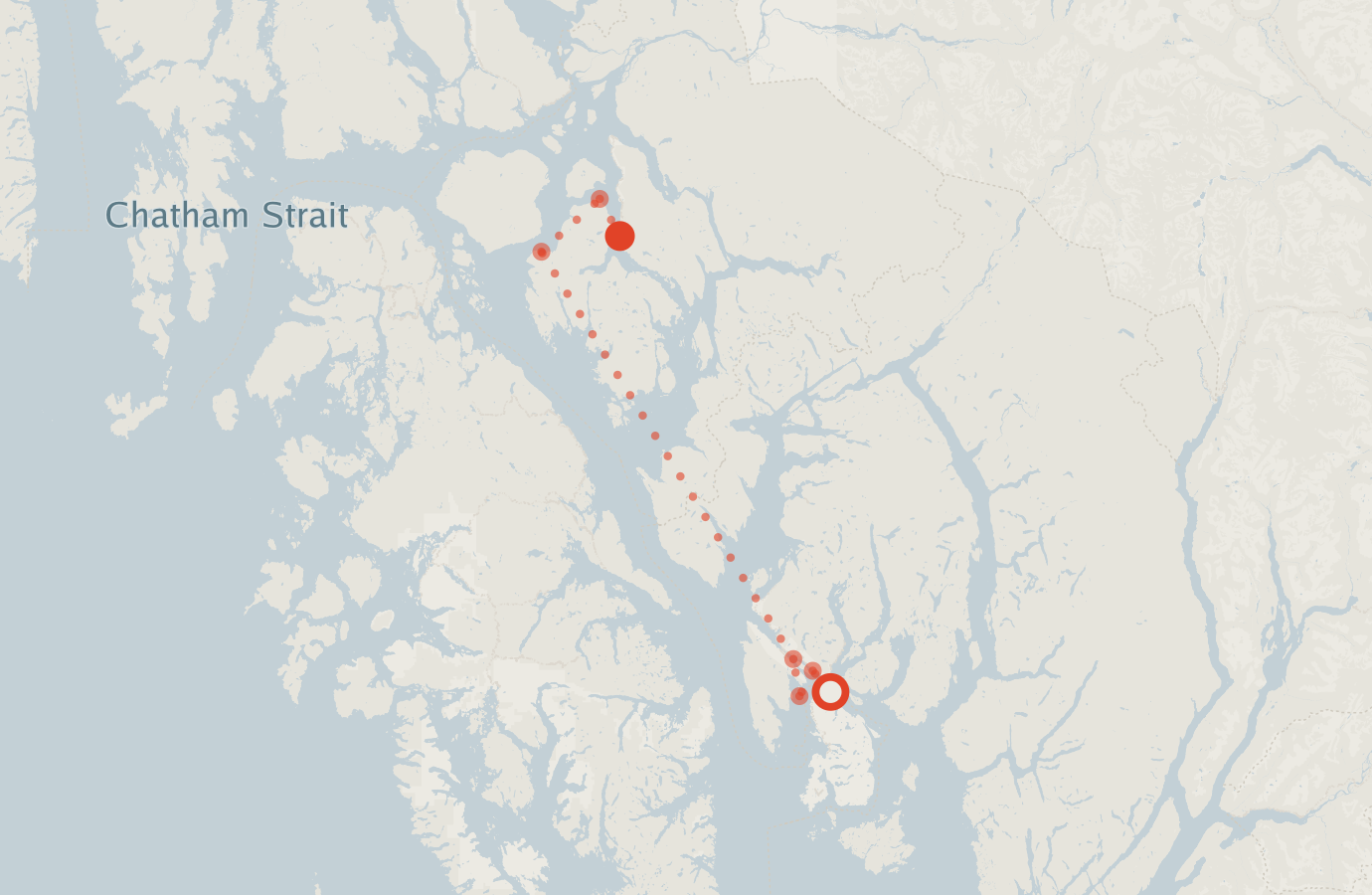 Activity map — real sighting points on an OpenStreetMap basemap