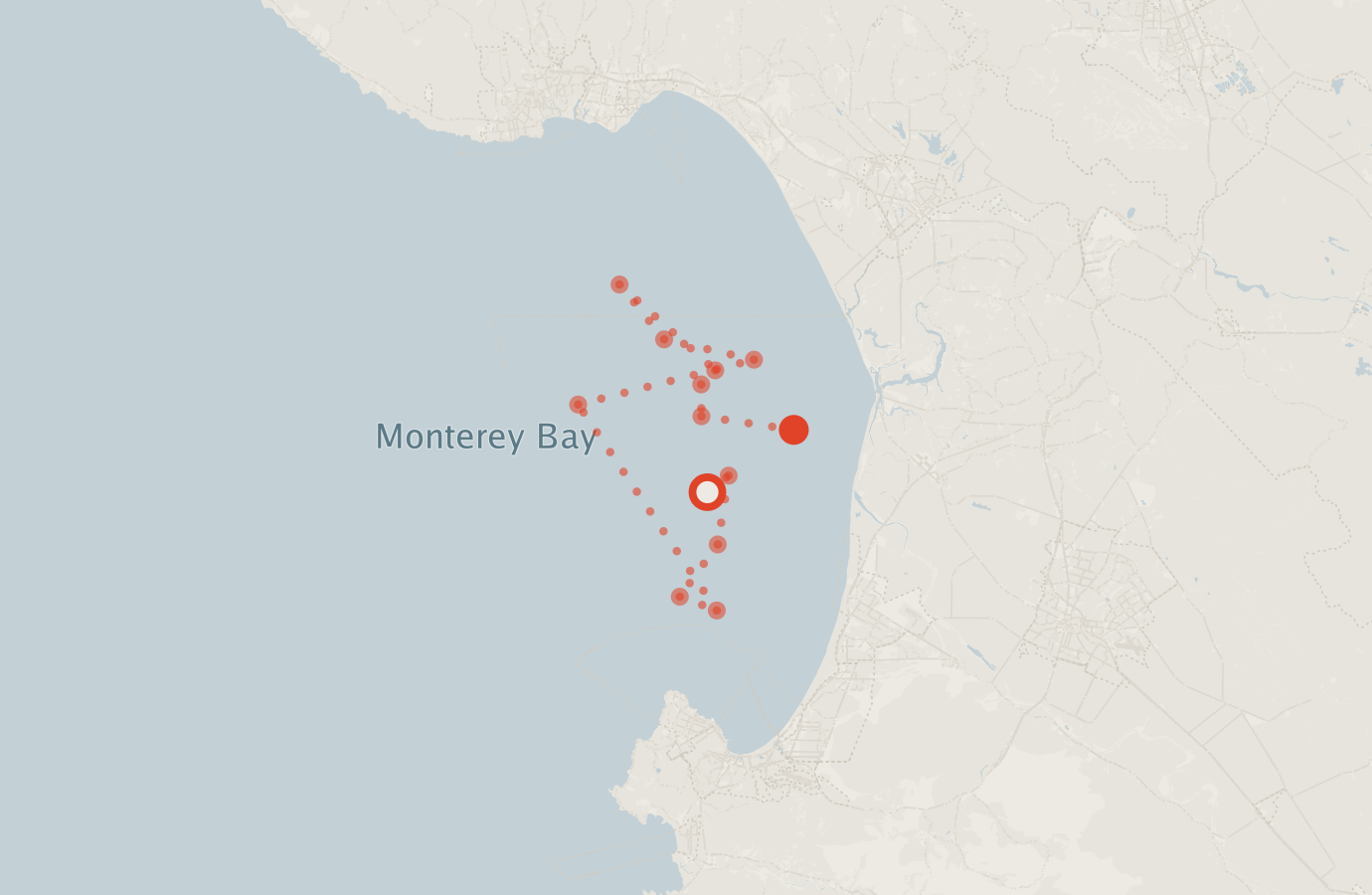 Activity map — real sighting points on an OpenStreetMap basemap