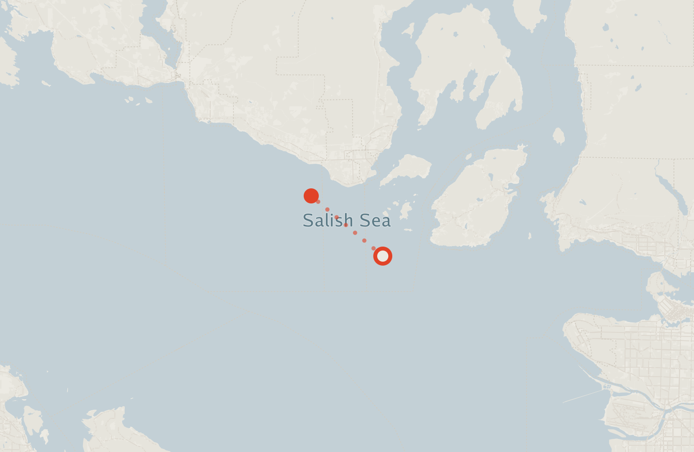 Activity map — real sighting points on an OpenStreetMap basemap