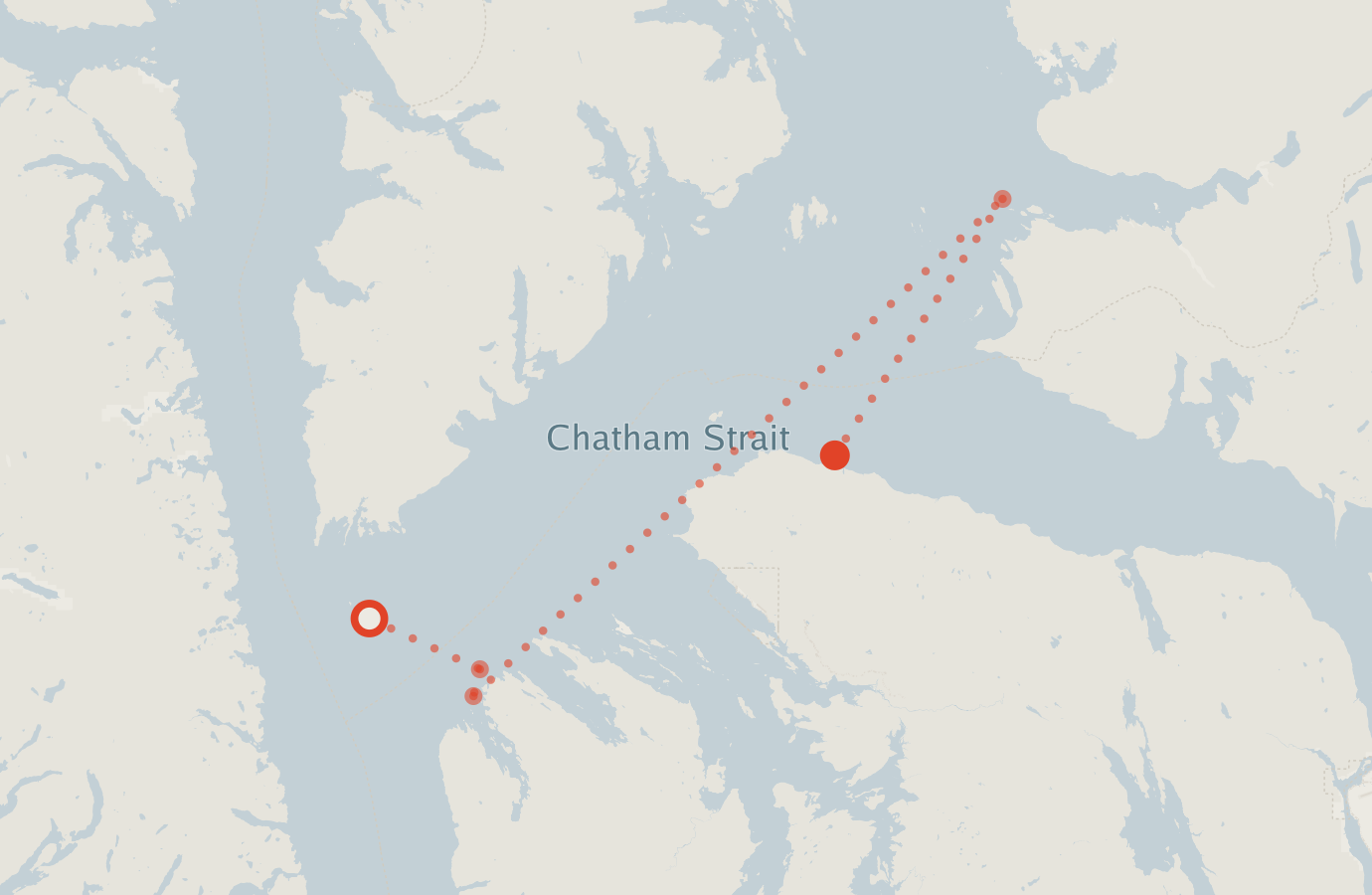 Activity map — real sighting points on an OpenStreetMap basemap