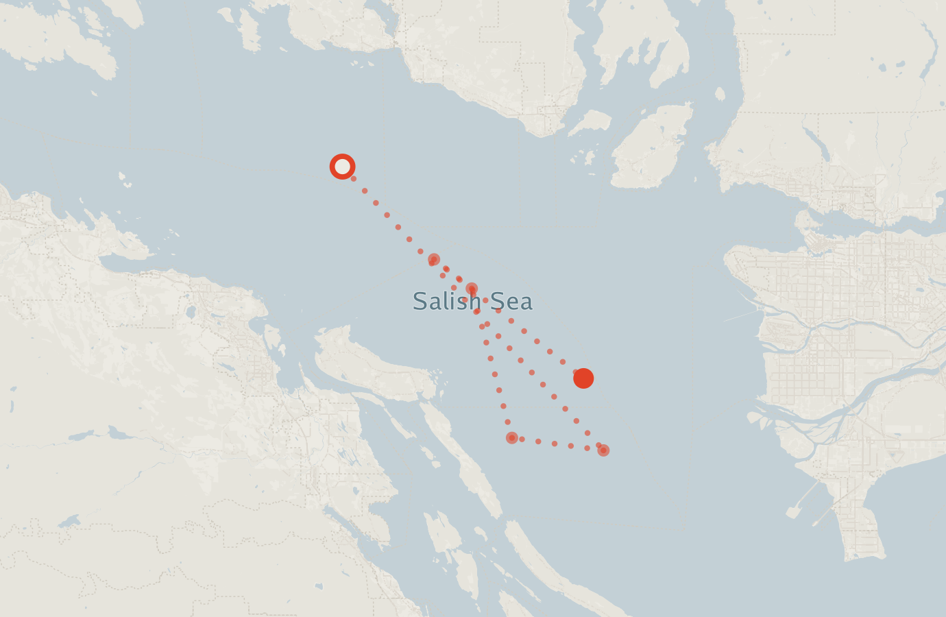 Activity map — real sighting points on an OpenStreetMap basemap