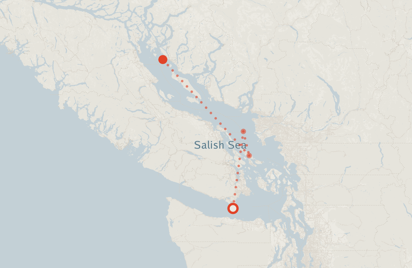 Activity map — real sighting points on an OpenStreetMap basemap