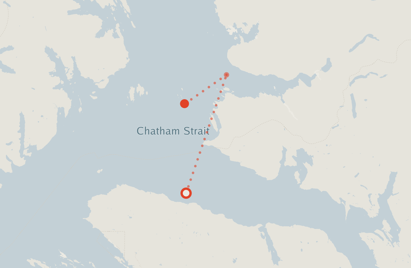 Activity map — real sighting points on an OpenStreetMap basemap
