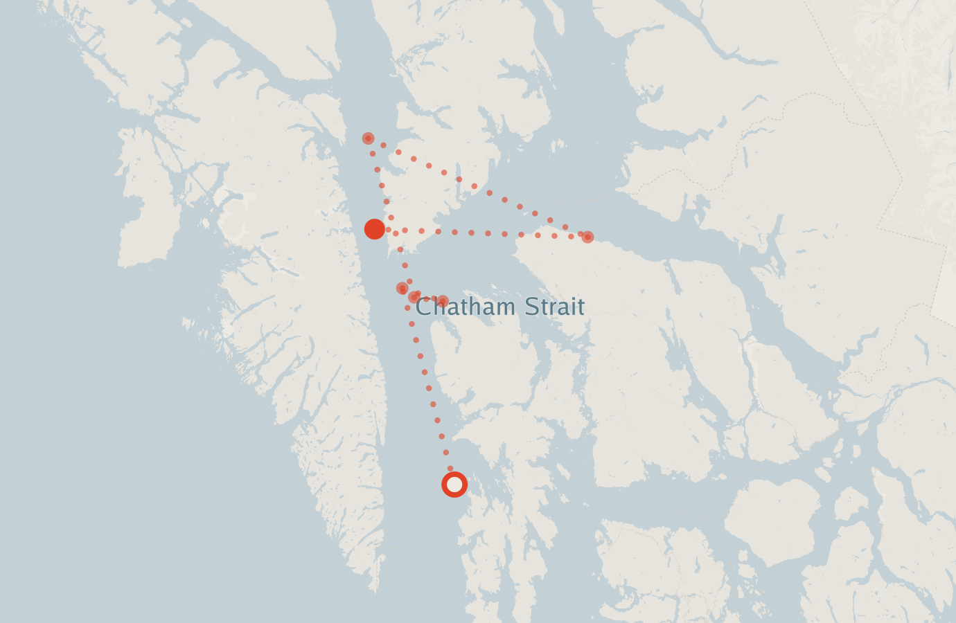 Activity map — real sighting points on an OpenStreetMap basemap