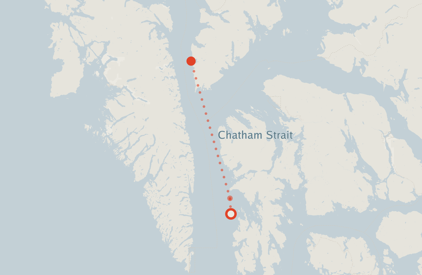 Activity map — real sighting points on an OpenStreetMap basemap
