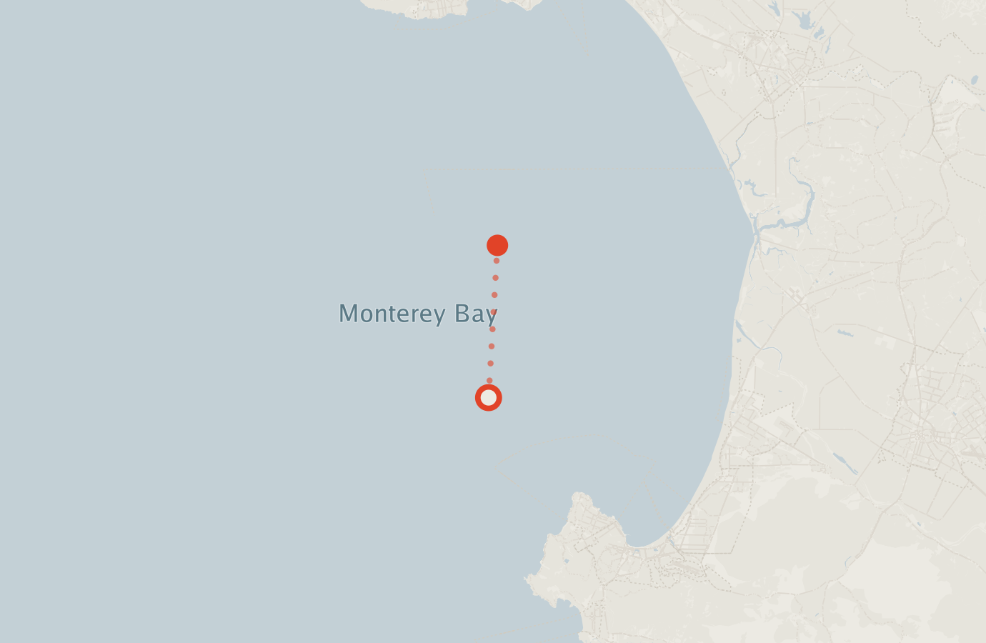 Activity map — real sighting points on an OpenStreetMap basemap
