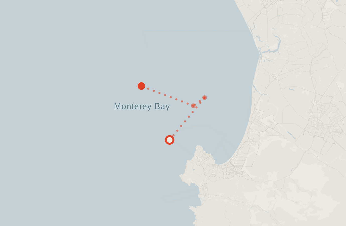Activity map — real sighting points on an OpenStreetMap basemap