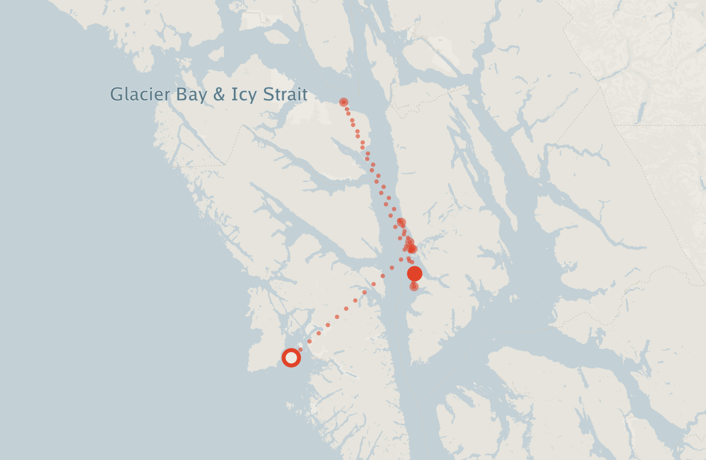 Activity map — real sighting points on an OpenStreetMap basemap