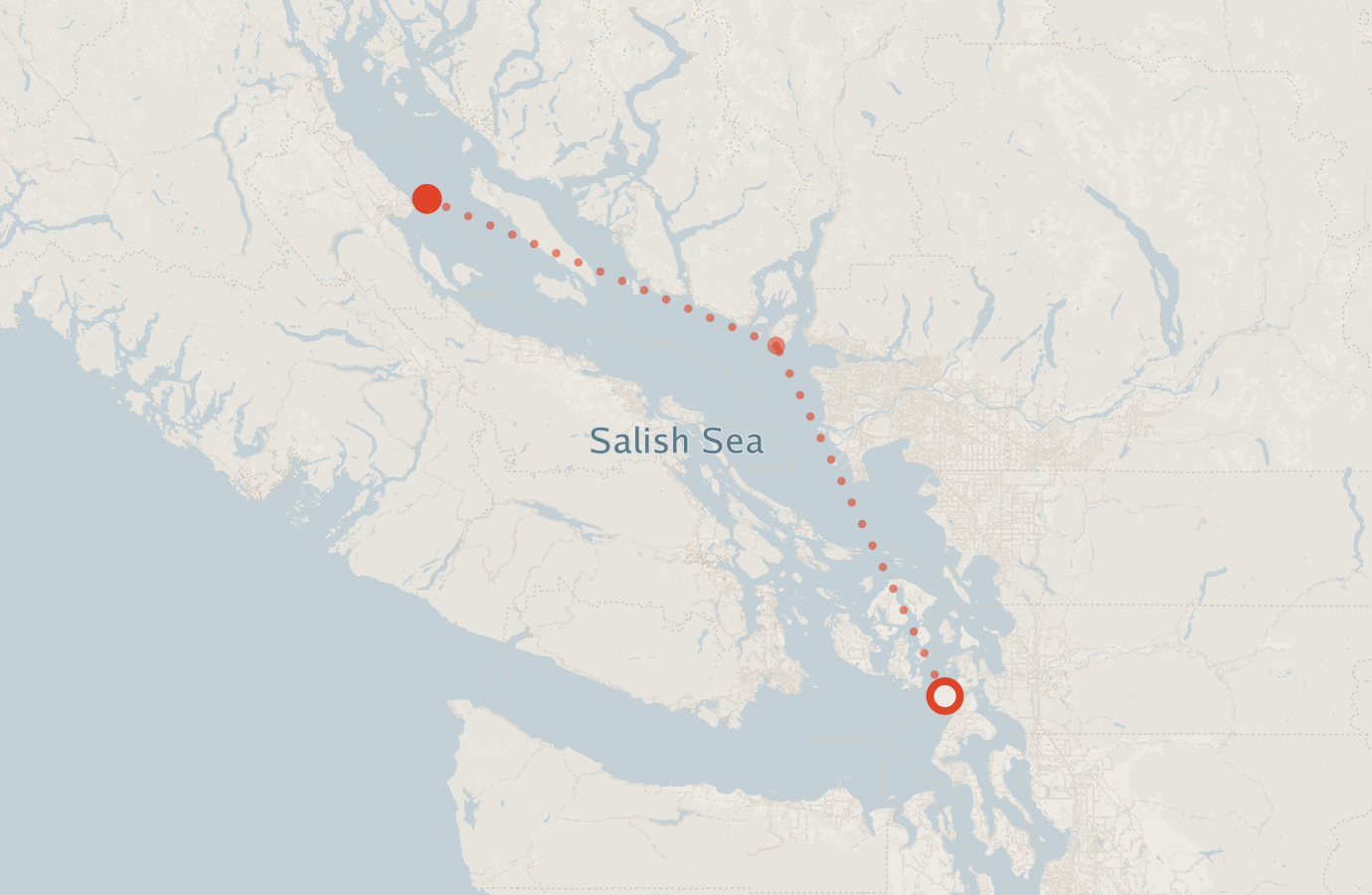 Activity map — real sighting points on an OpenStreetMap basemap