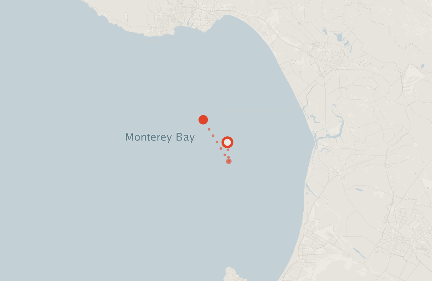 Activity map — real sighting points on an OpenStreetMap basemap
