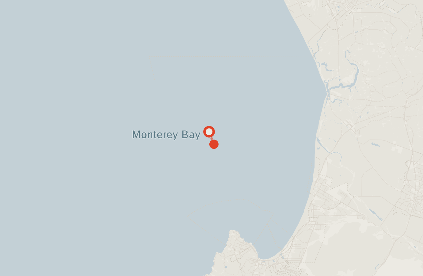 Activity map — real sighting points on an OpenStreetMap basemap
