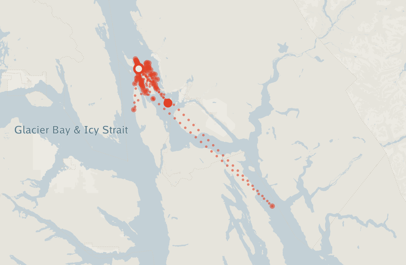 Activity map — real sighting points on an OpenStreetMap basemap