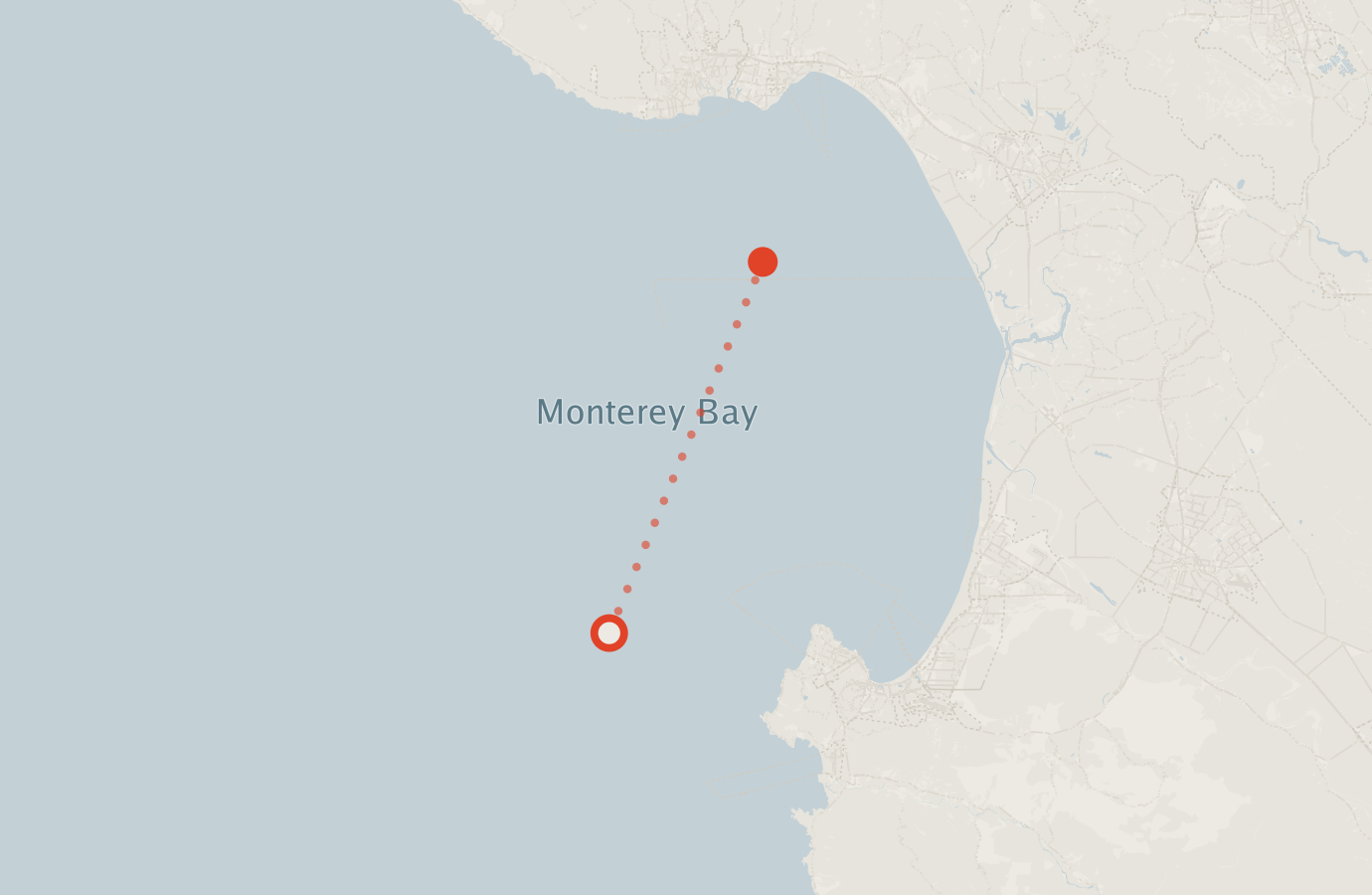 Activity map — real sighting points on an OpenStreetMap basemap