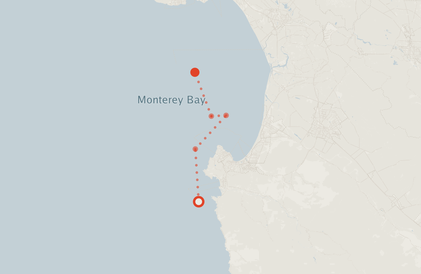 Activity map — real sighting points on an OpenStreetMap basemap