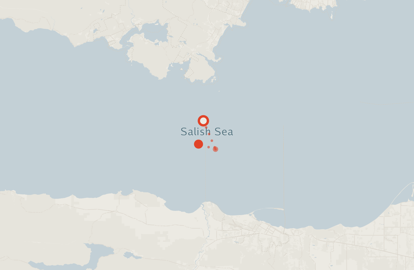 Activity map — real sighting points on an OpenStreetMap basemap