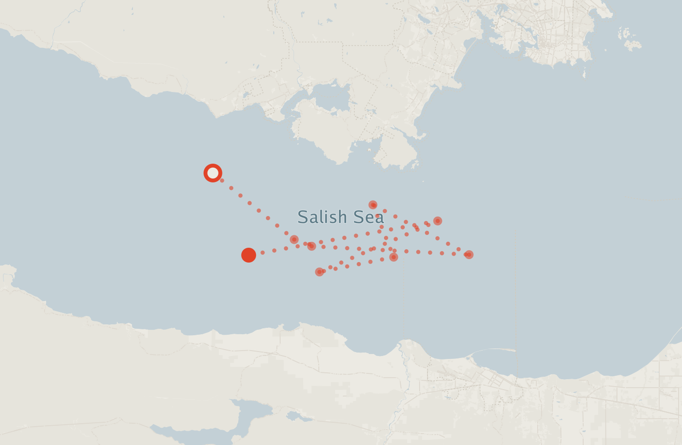 Activity map — real sighting points on an OpenStreetMap basemap