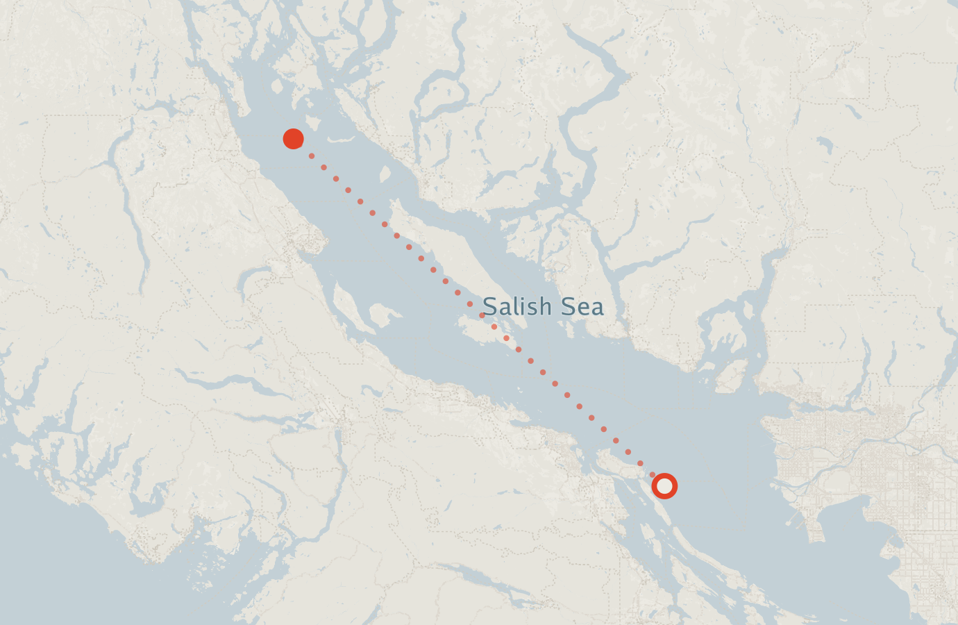 Activity map — real sighting points on an OpenStreetMap basemap