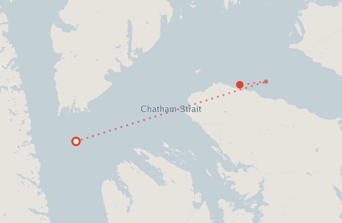 Activity map — real sighting points on an OpenStreetMap basemap