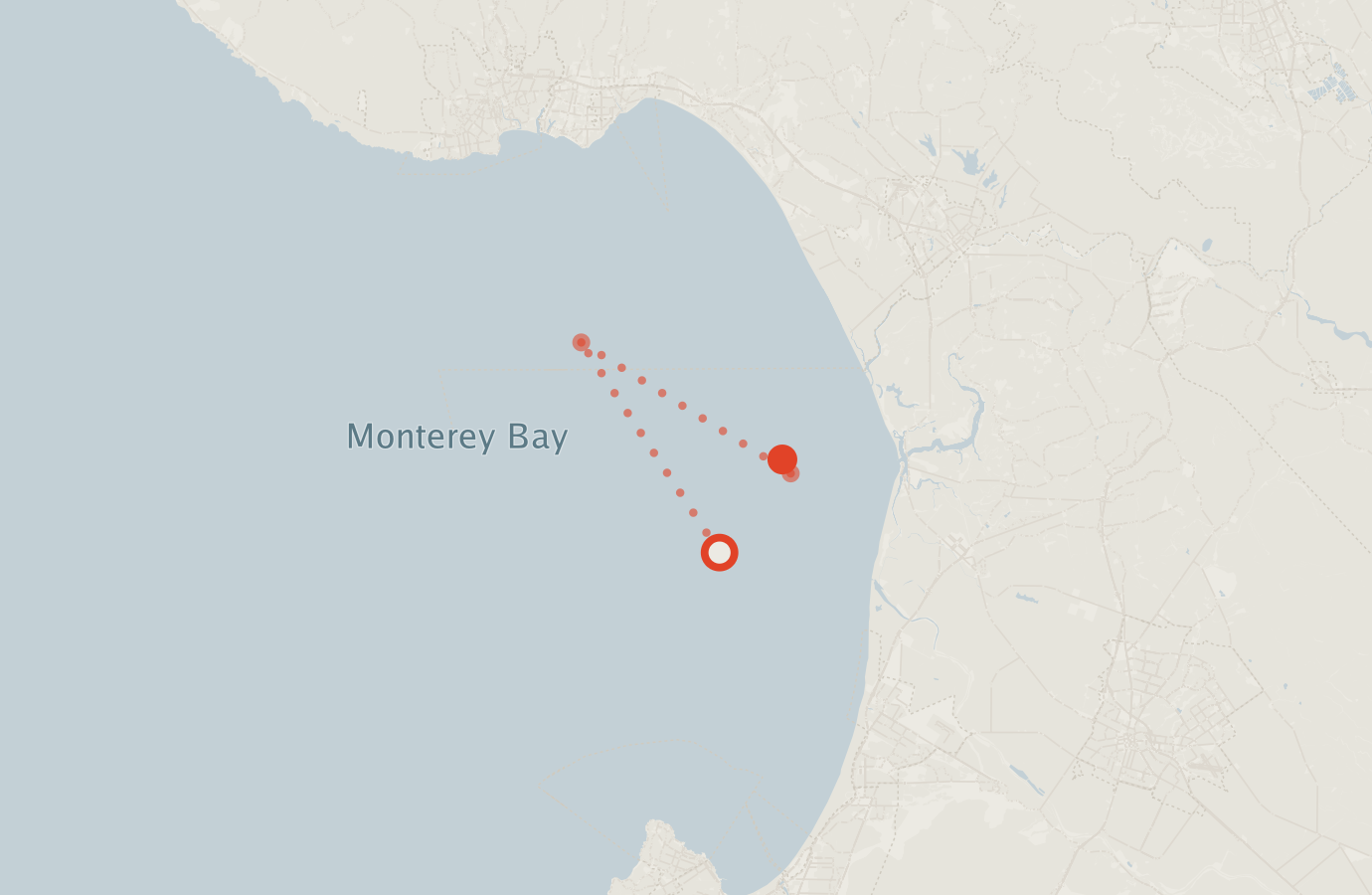Activity map — real sighting points on an OpenStreetMap basemap