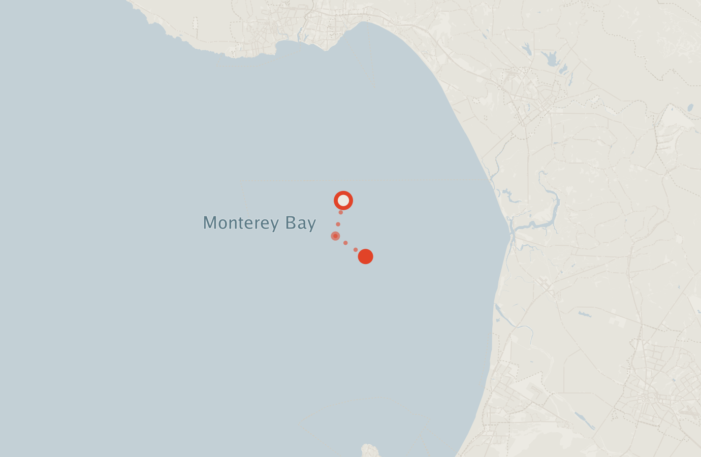 Activity map — real sighting points on an OpenStreetMap basemap