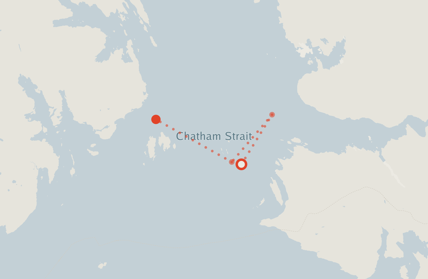 Activity map — real sighting points on an OpenStreetMap basemap