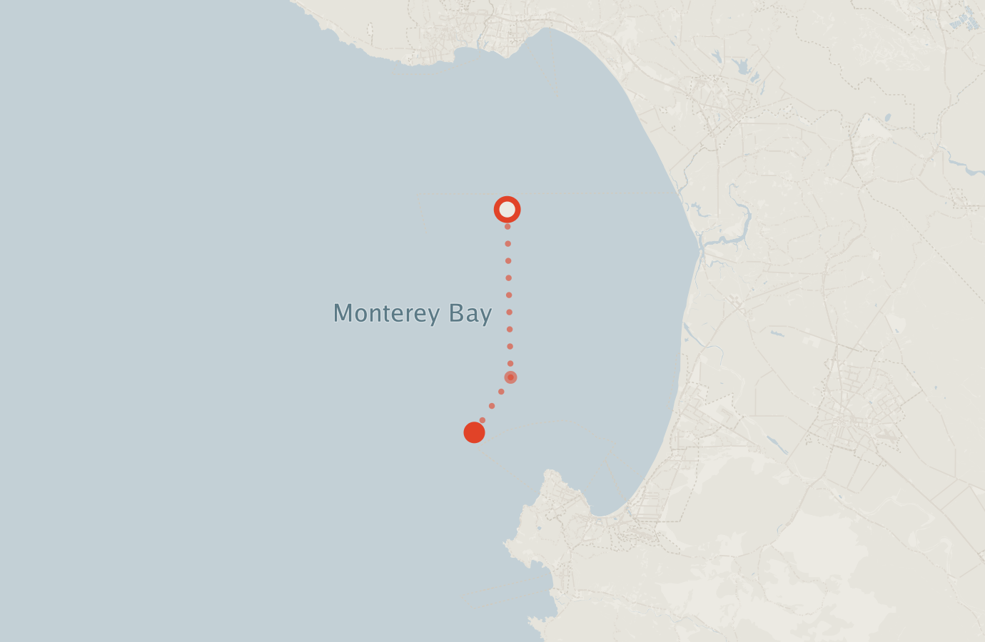 Activity map — real sighting points on an OpenStreetMap basemap
