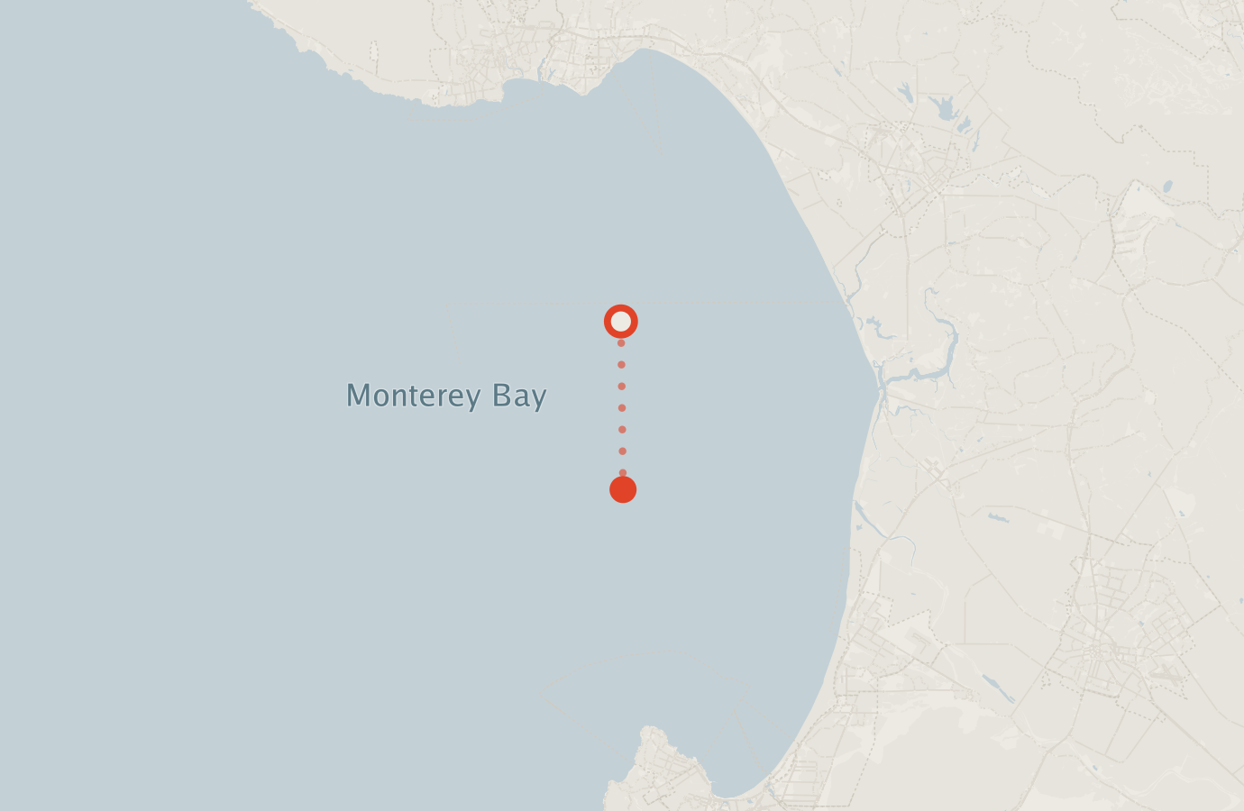 Activity map — real sighting points on an OpenStreetMap basemap