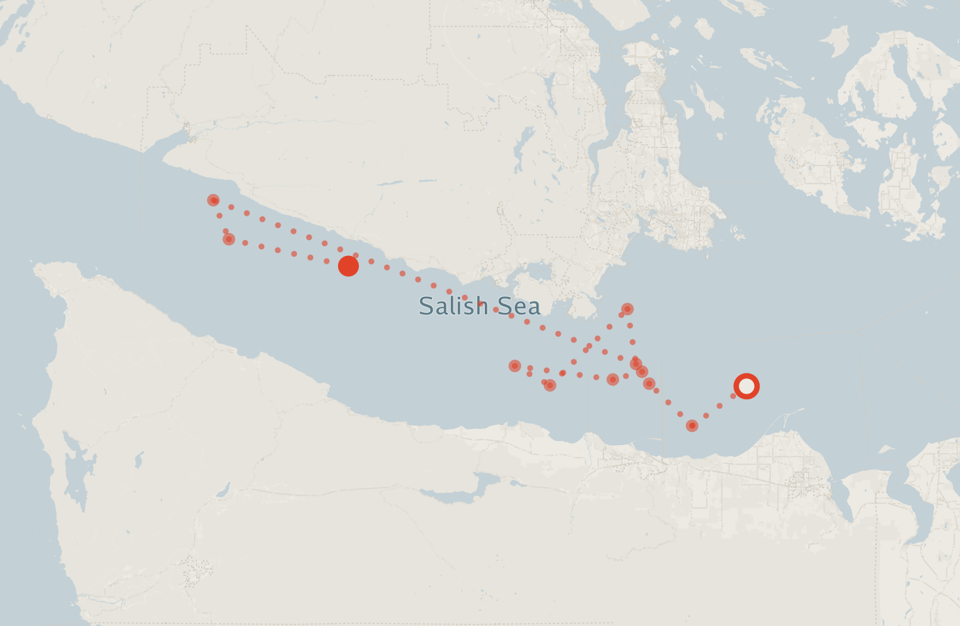 Activity map — real sighting points on an OpenStreetMap basemap