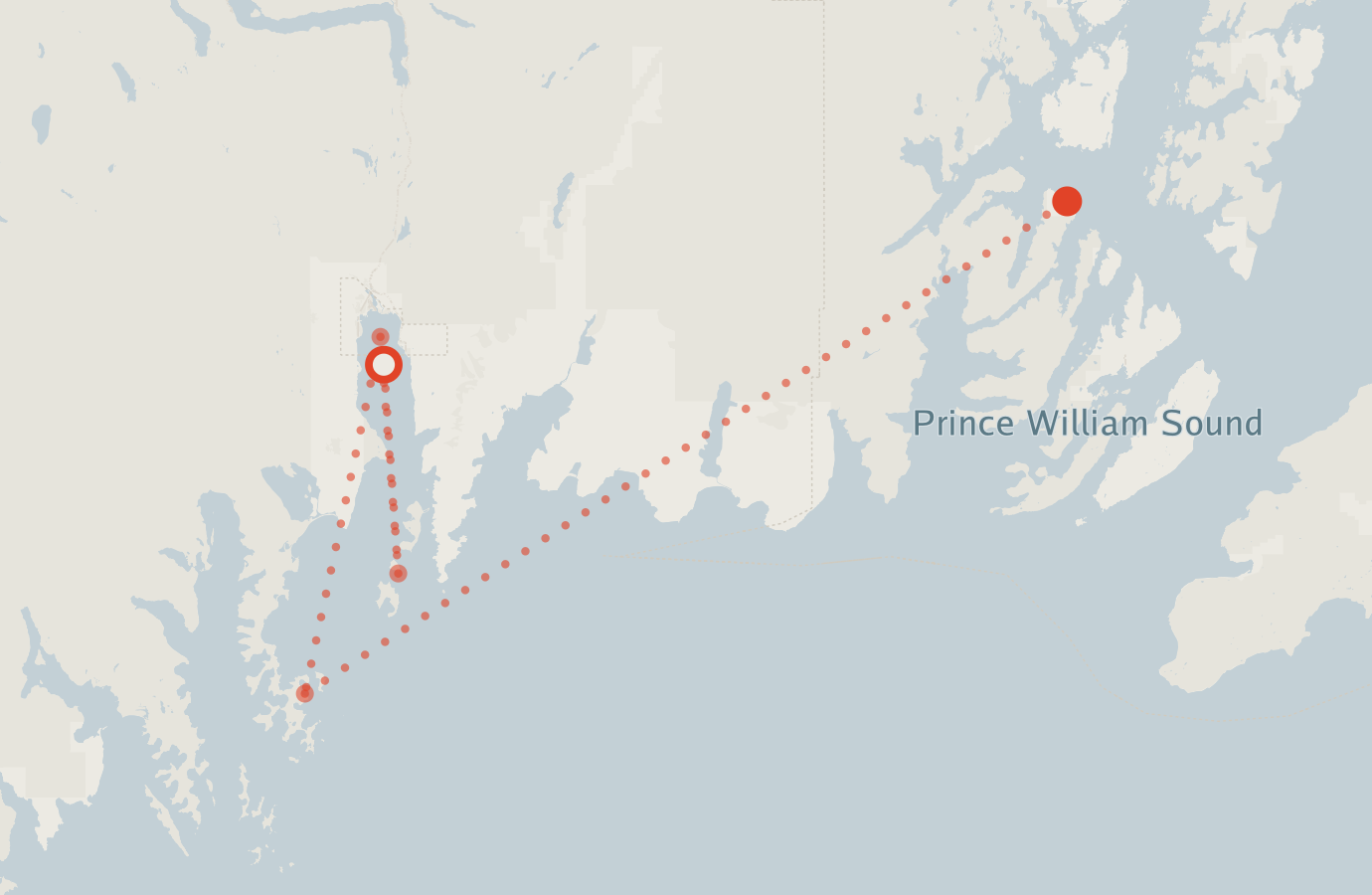 Activity map — real sighting points on an OpenStreetMap basemap