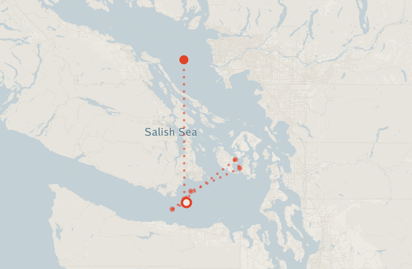 Activity map — real sighting points on an OpenStreetMap basemap