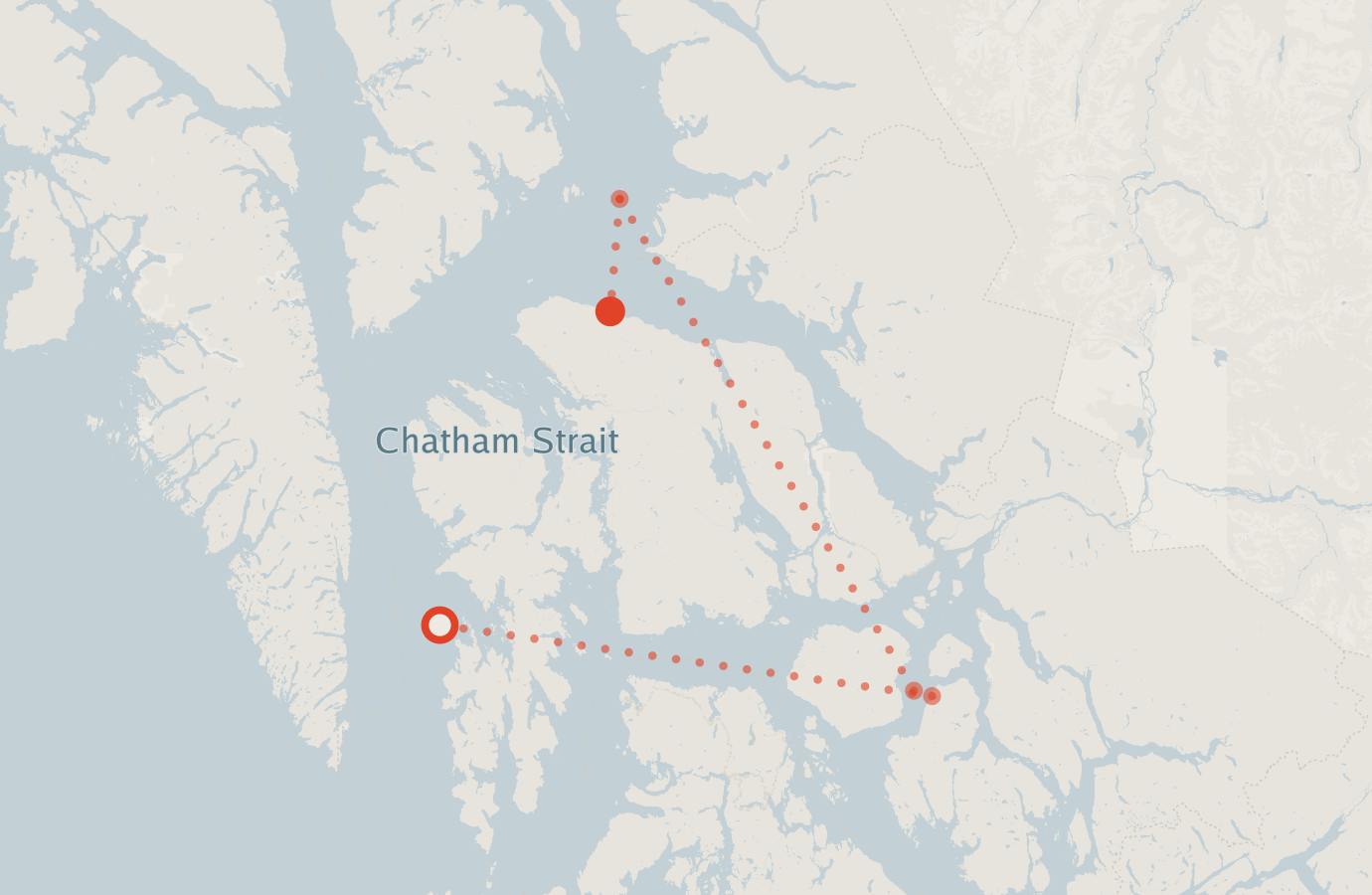 Activity map — real sighting points on an OpenStreetMap basemap