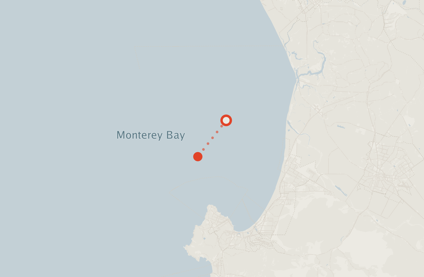Activity map — real sighting points on an OpenStreetMap basemap