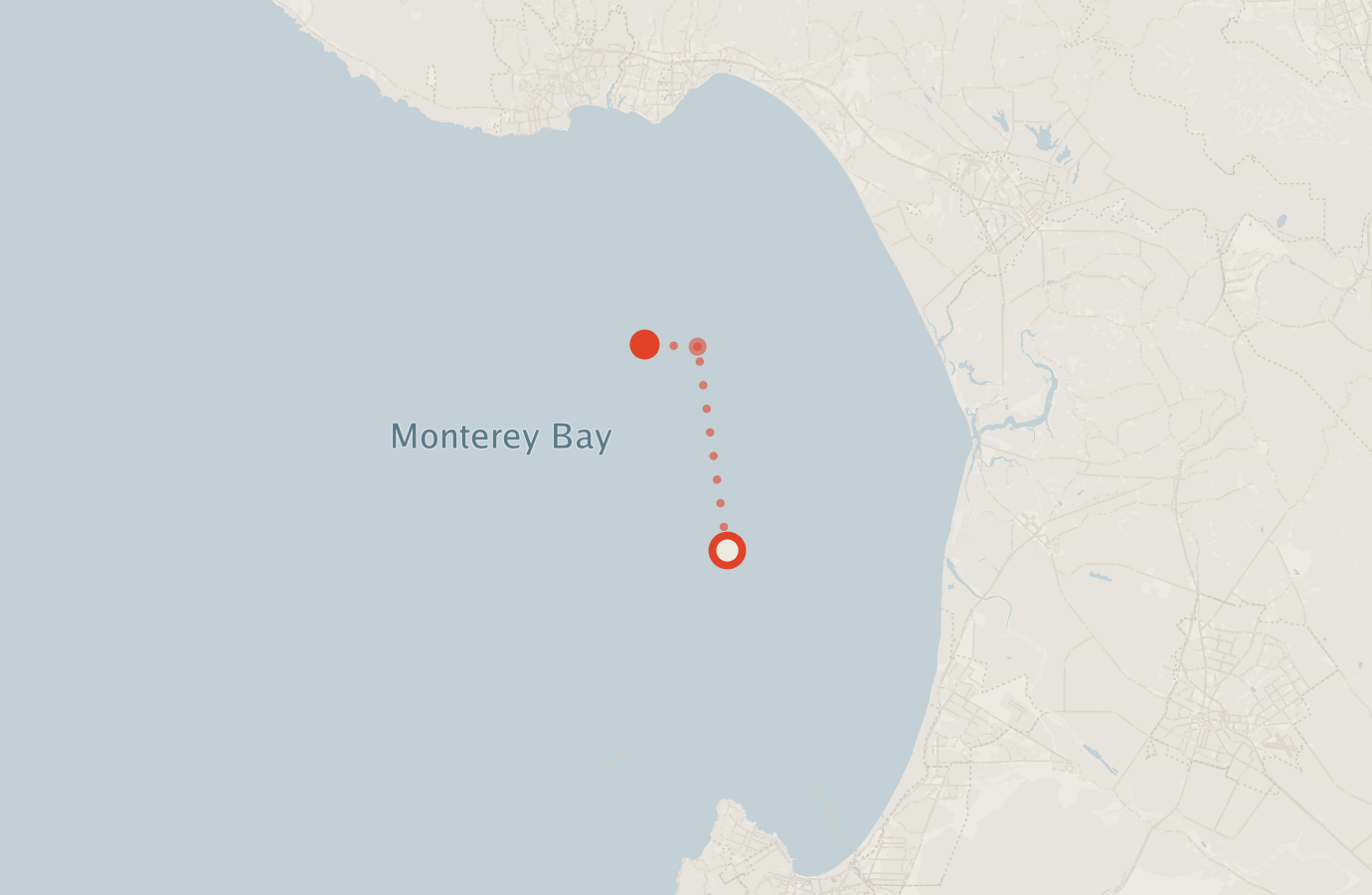 Activity map — real sighting points on an OpenStreetMap basemap