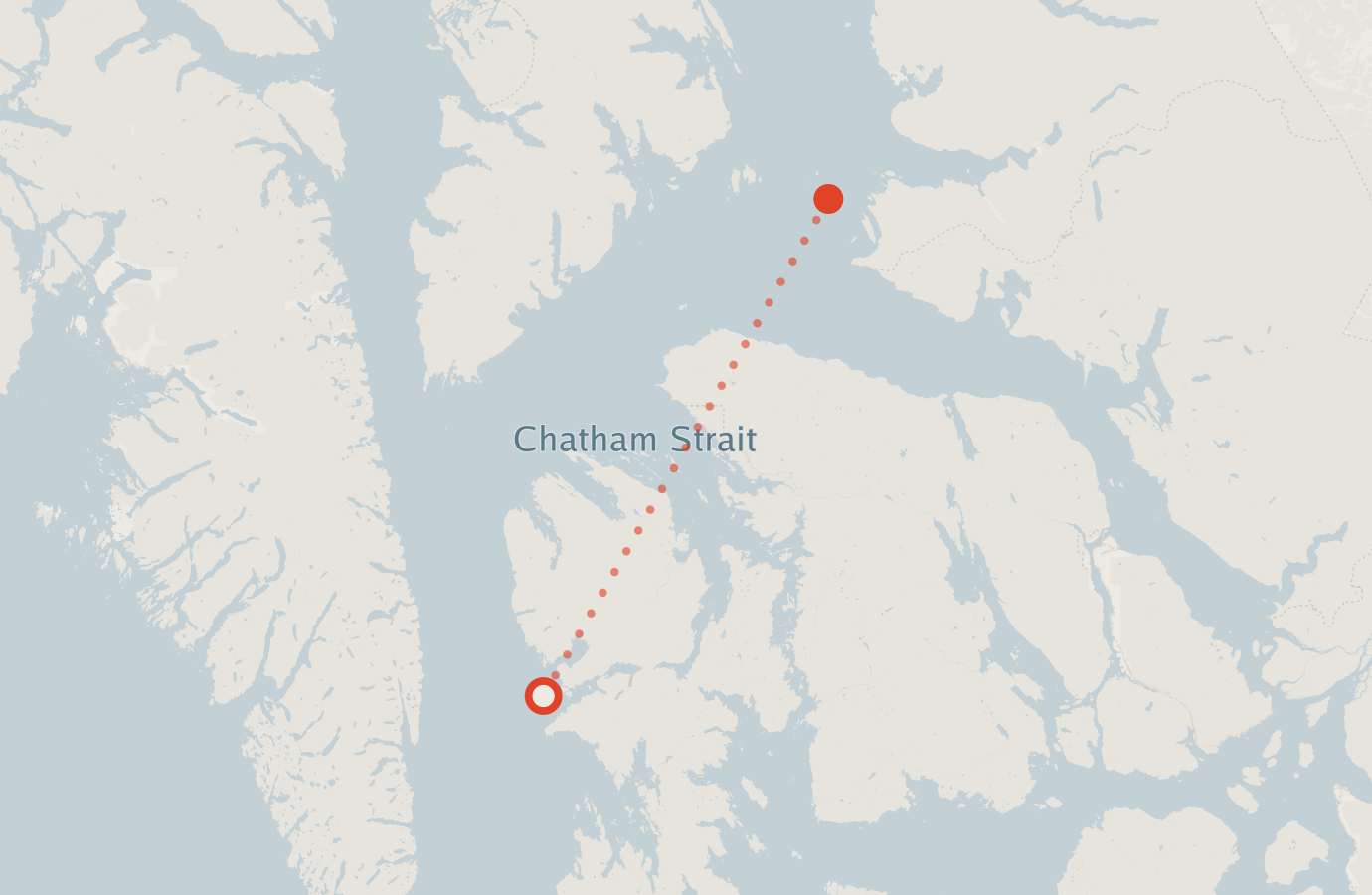 Activity map — real sighting points on an OpenStreetMap basemap