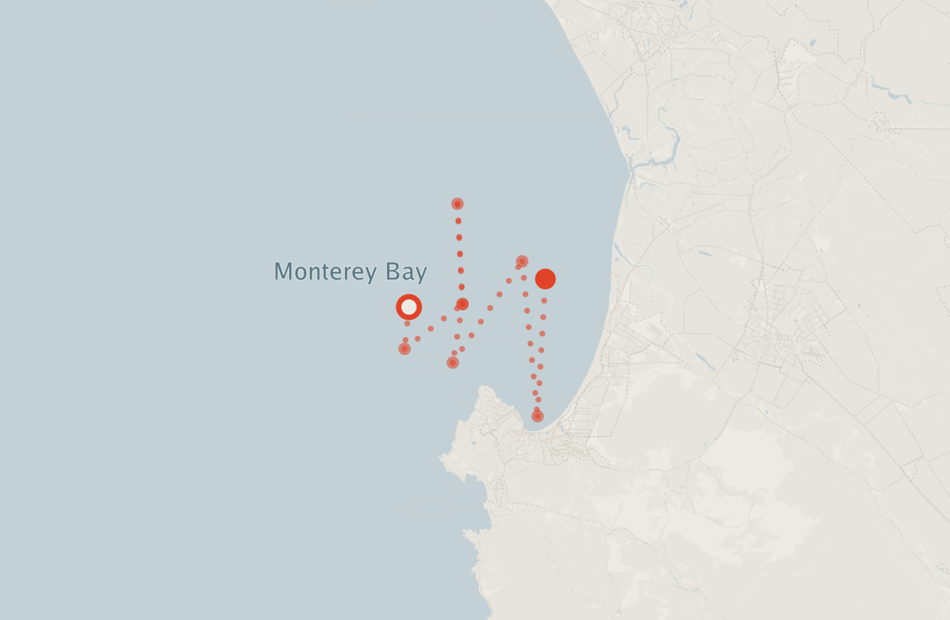 Activity map — real sighting points on an OpenStreetMap basemap