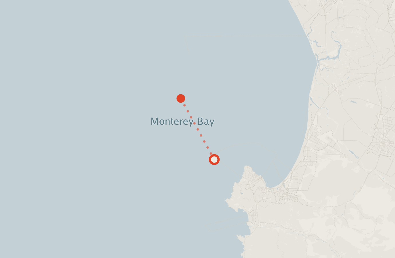 Activity map — real sighting points on an OpenStreetMap basemap