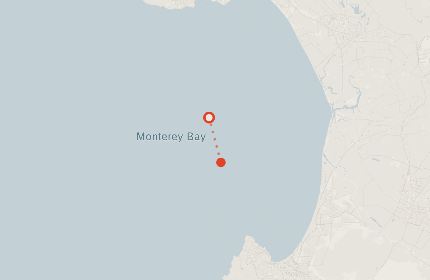 Activity map — real sighting points on an OpenStreetMap basemap