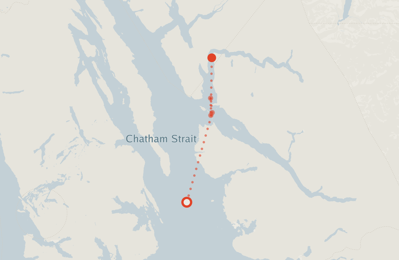 Activity map — real sighting points on an OpenStreetMap basemap
