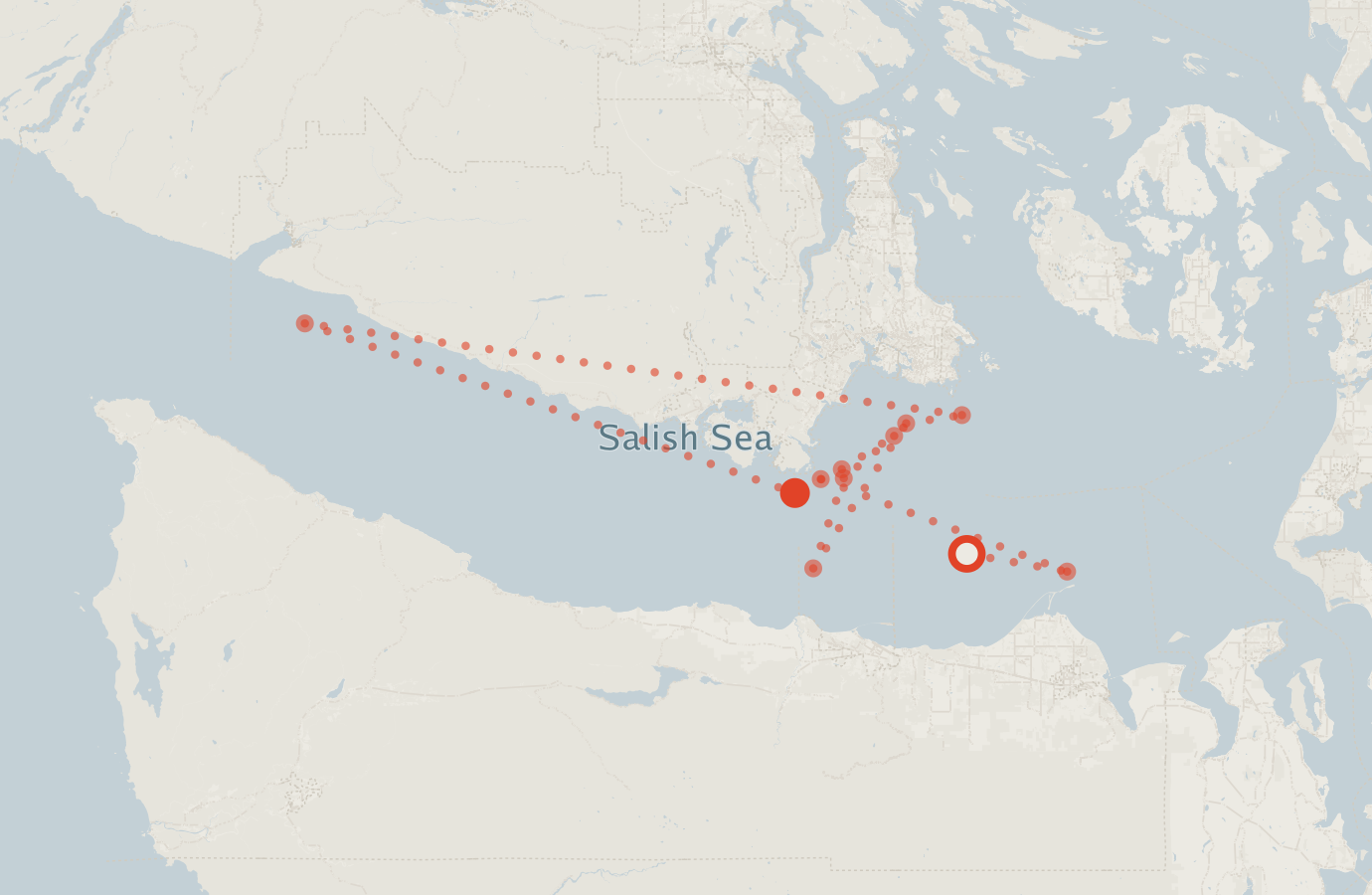 Activity map — real sighting points on an OpenStreetMap basemap
