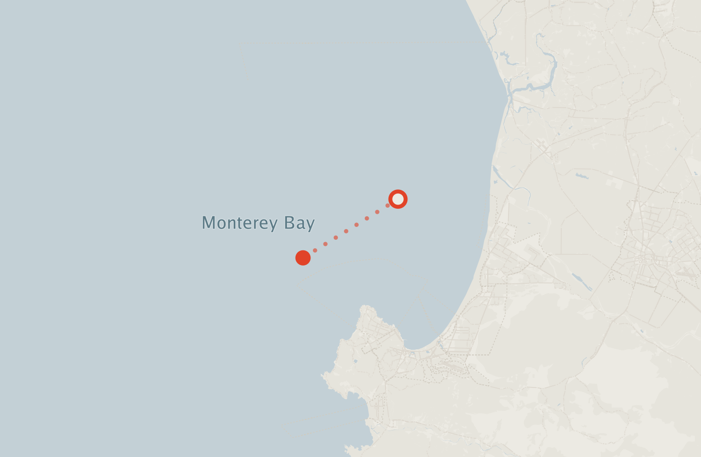 Activity map — real sighting points on an OpenStreetMap basemap