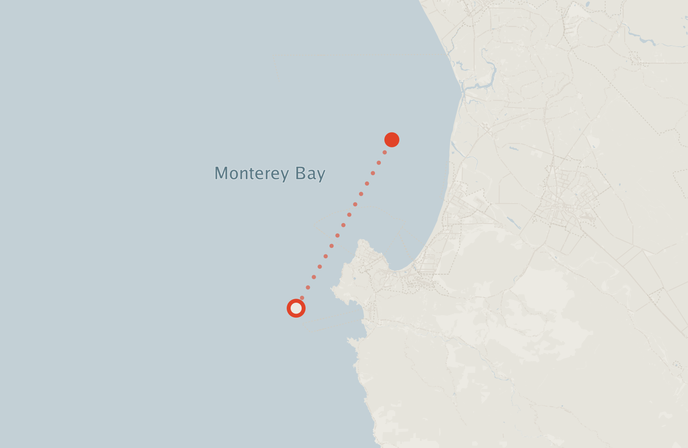 Activity map — real sighting points on an OpenStreetMap basemap