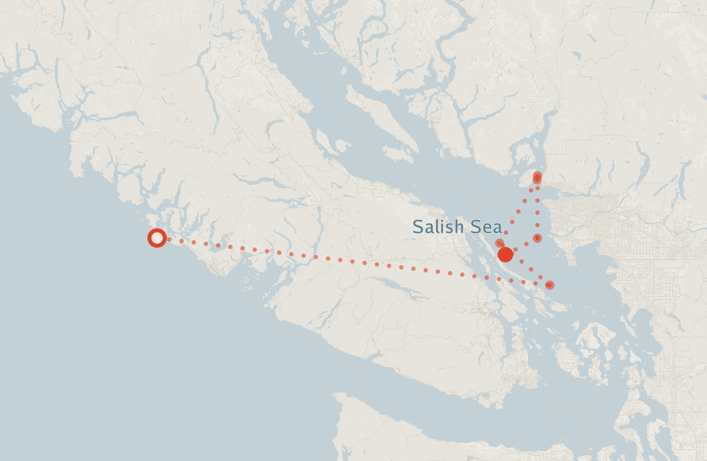 Activity map — real sighting points on an OpenStreetMap basemap