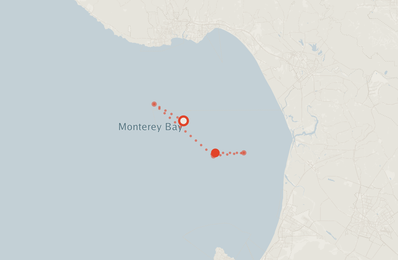 Activity map — real sighting points on an OpenStreetMap basemap