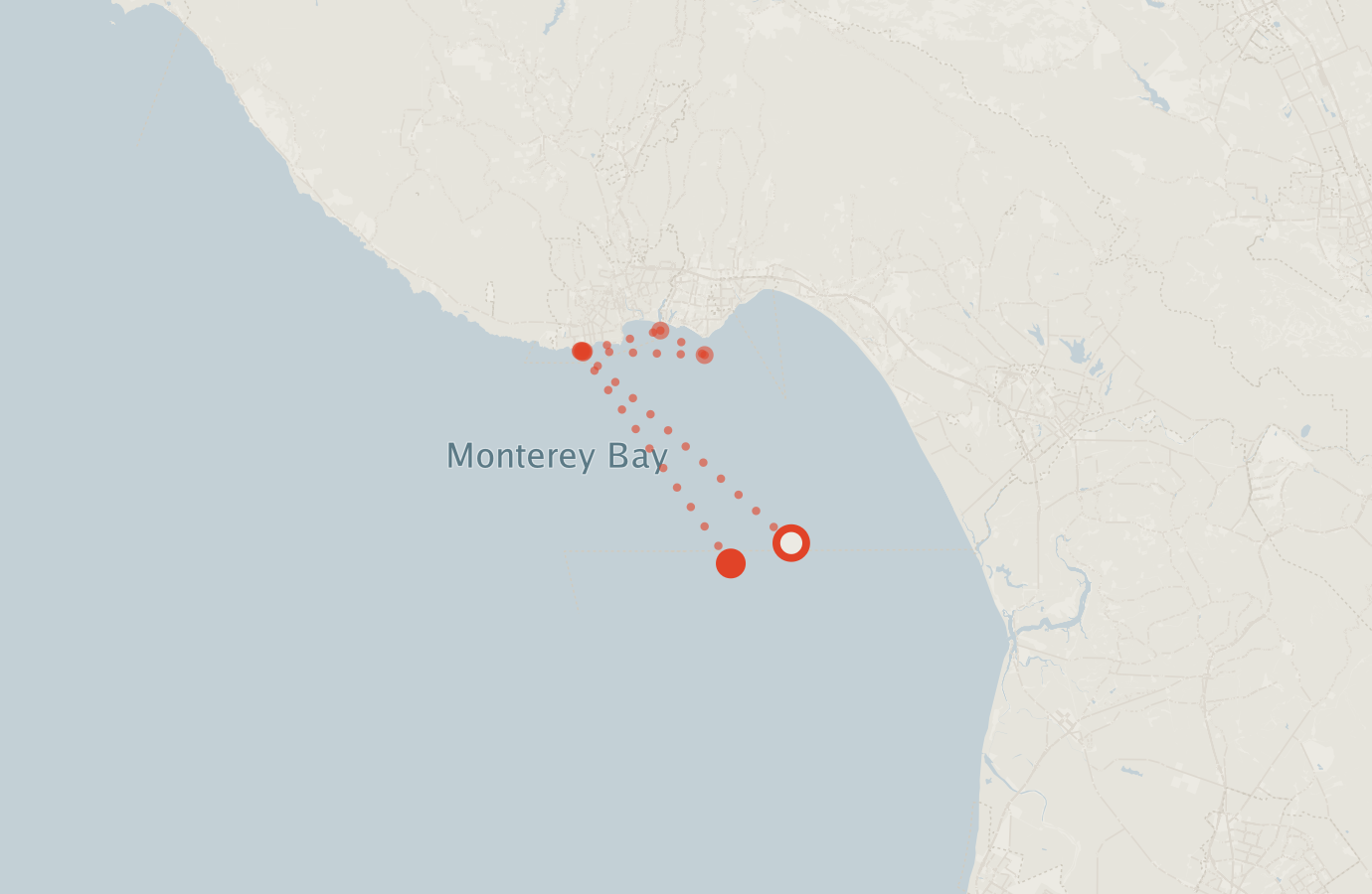 Activity map — real sighting points on an OpenStreetMap basemap