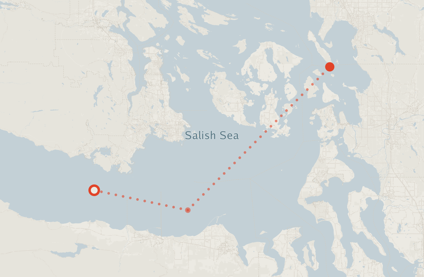 Activity map — real sighting points on an OpenStreetMap basemap