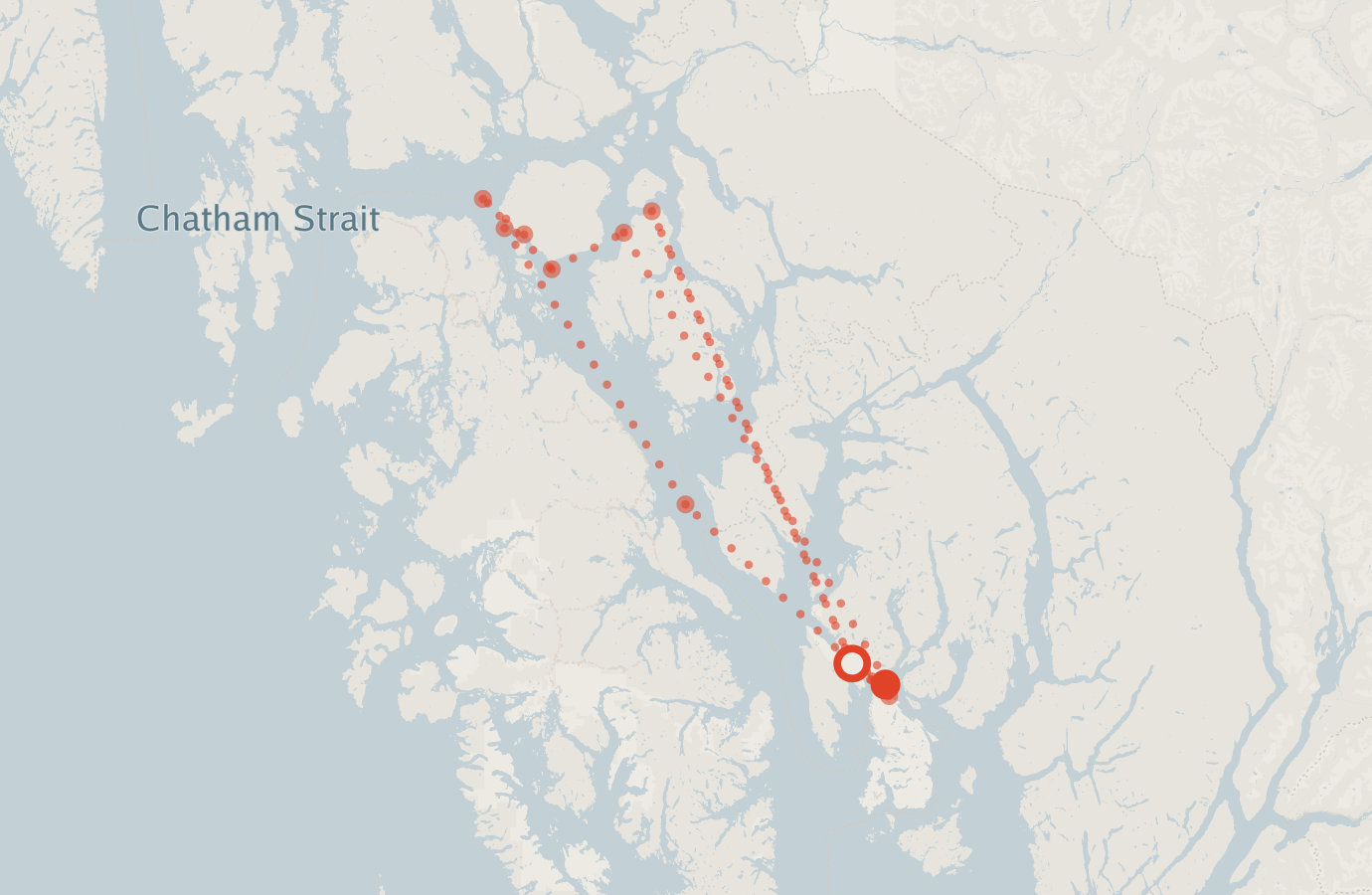 Activity map — real sighting points on an OpenStreetMap basemap